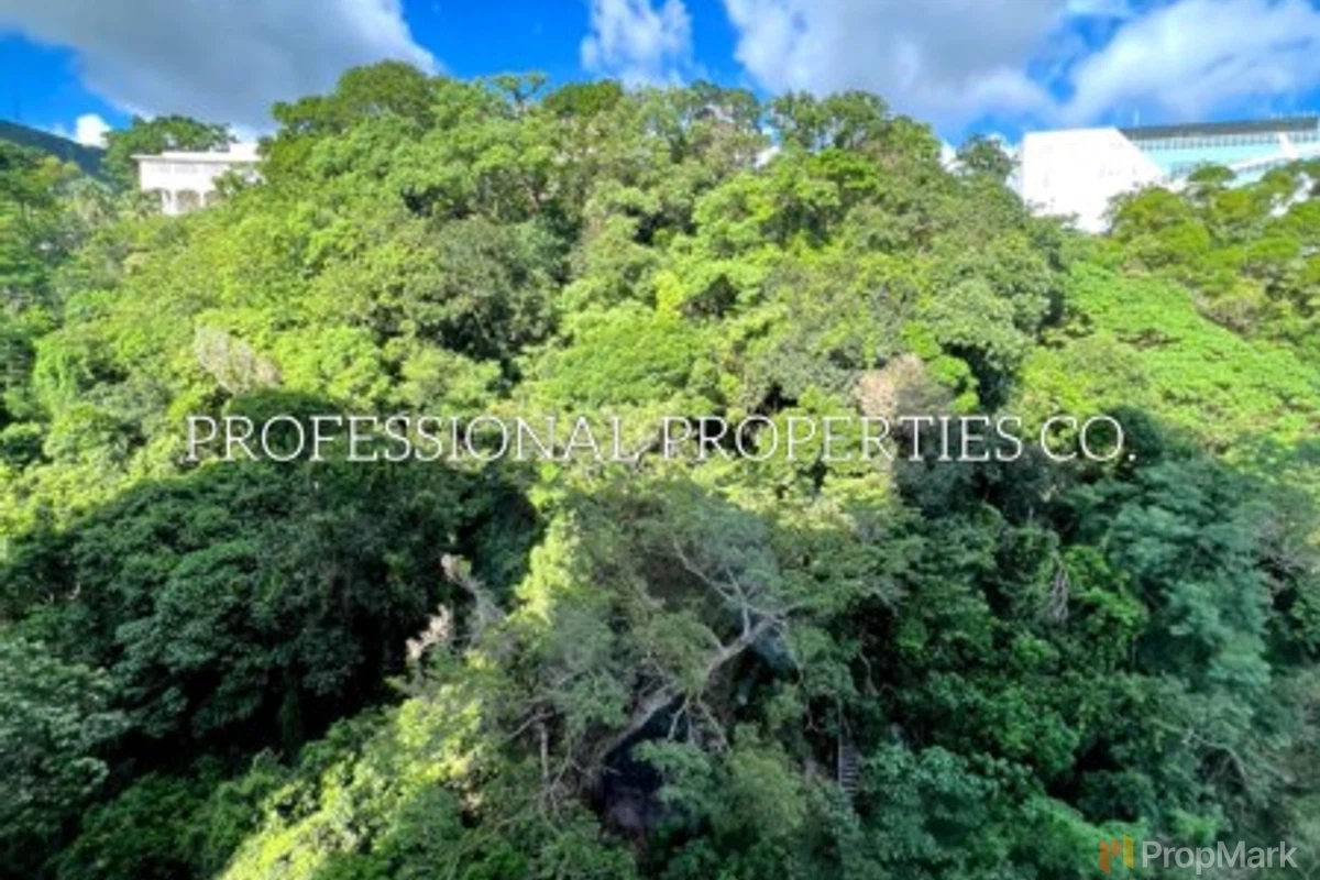 Baguio Villa - Photo 1