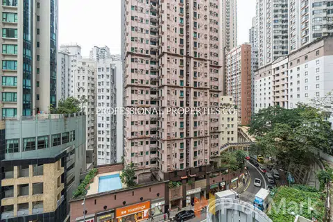 Palm Court - Photo 2