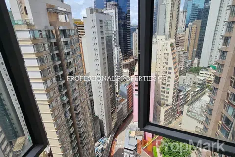 Hollywood Terrace - Photo 3