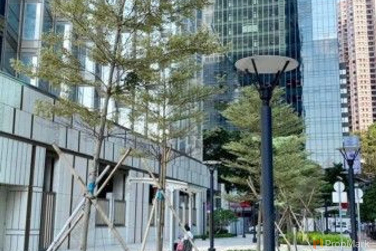 Harbour Glory - Photo 3