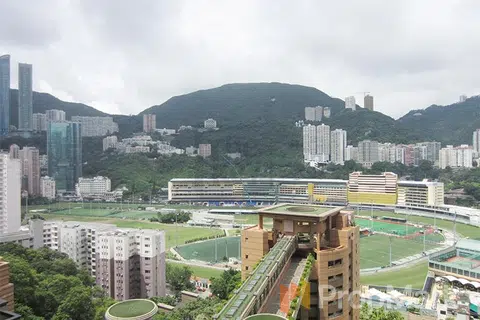禮頓山 - 相片 2