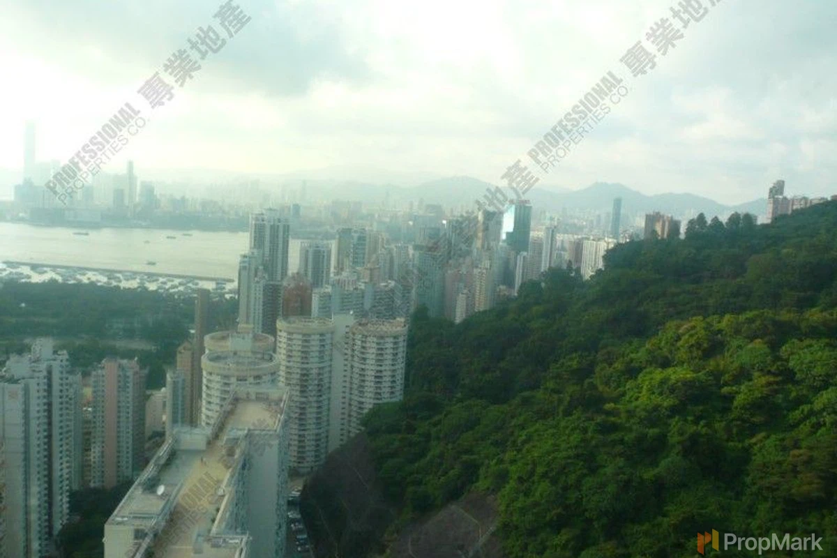 星域軒 - 相片 6