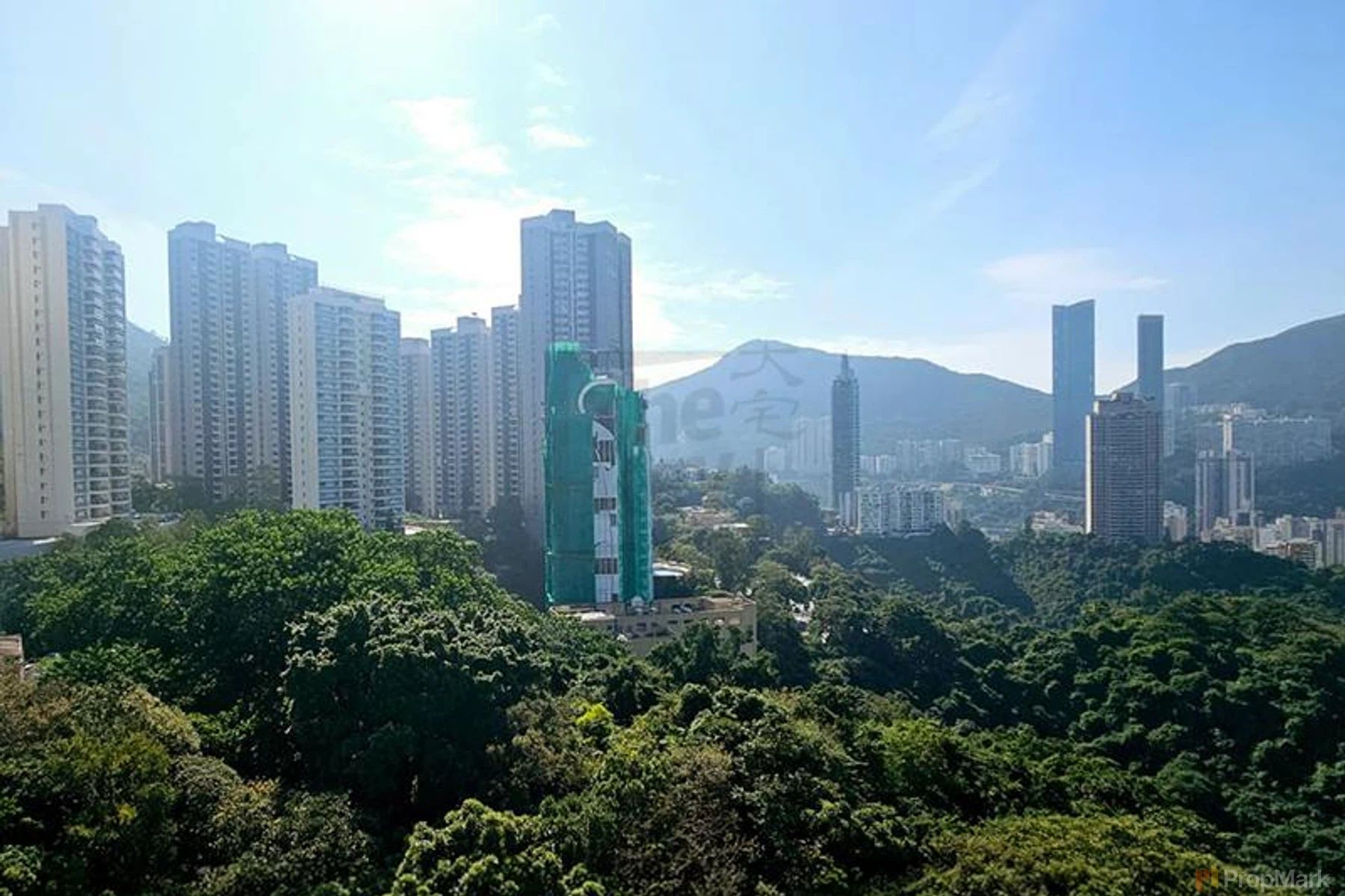 Park Garden - Photo 3