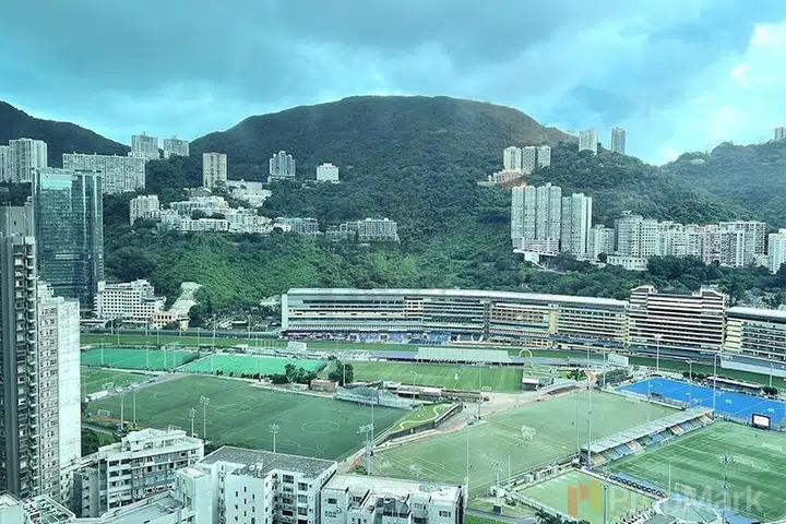 禮頓山 - 相片