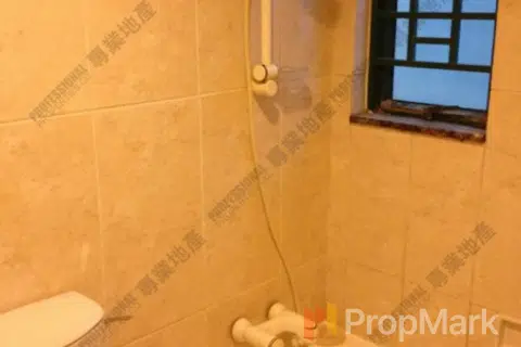 Dragon Pride - Photo 4