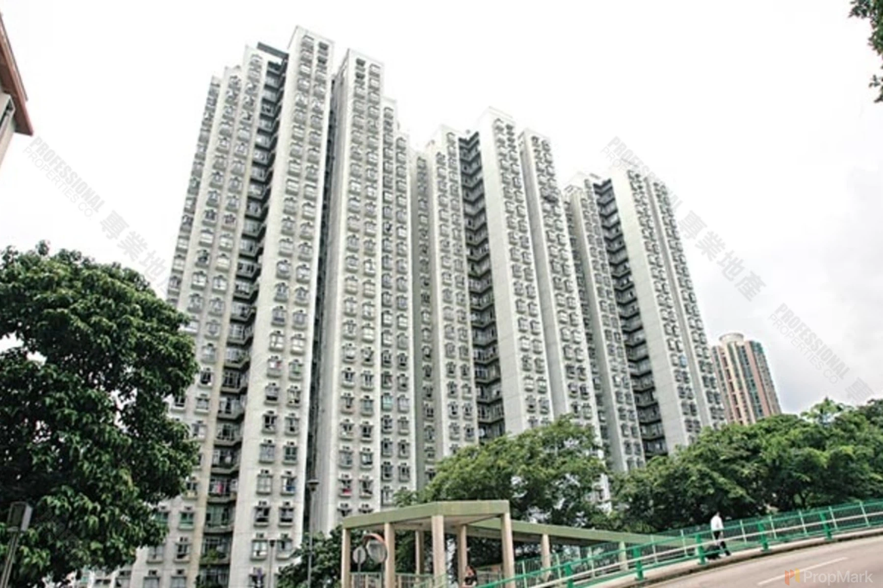 Academic Terrace - Photo 15