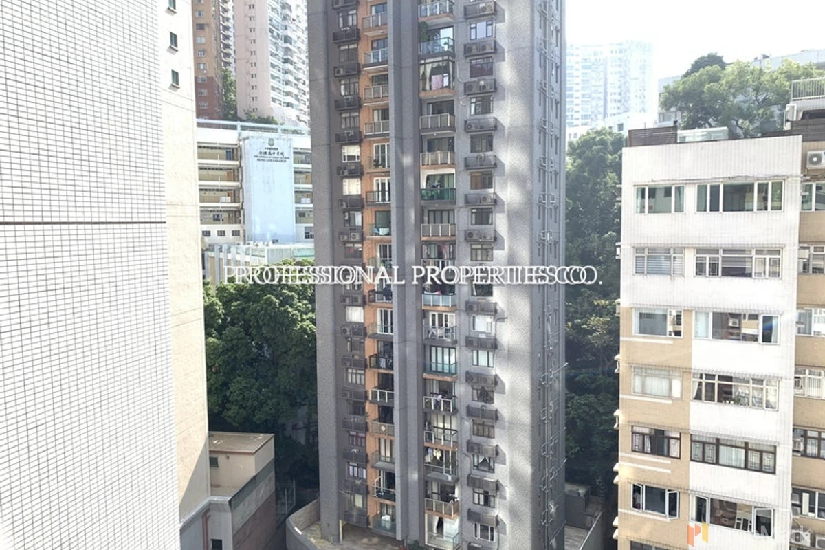 金輝園 - 相片 10