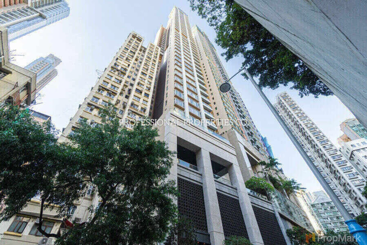 Lexington Hill - 相片 14