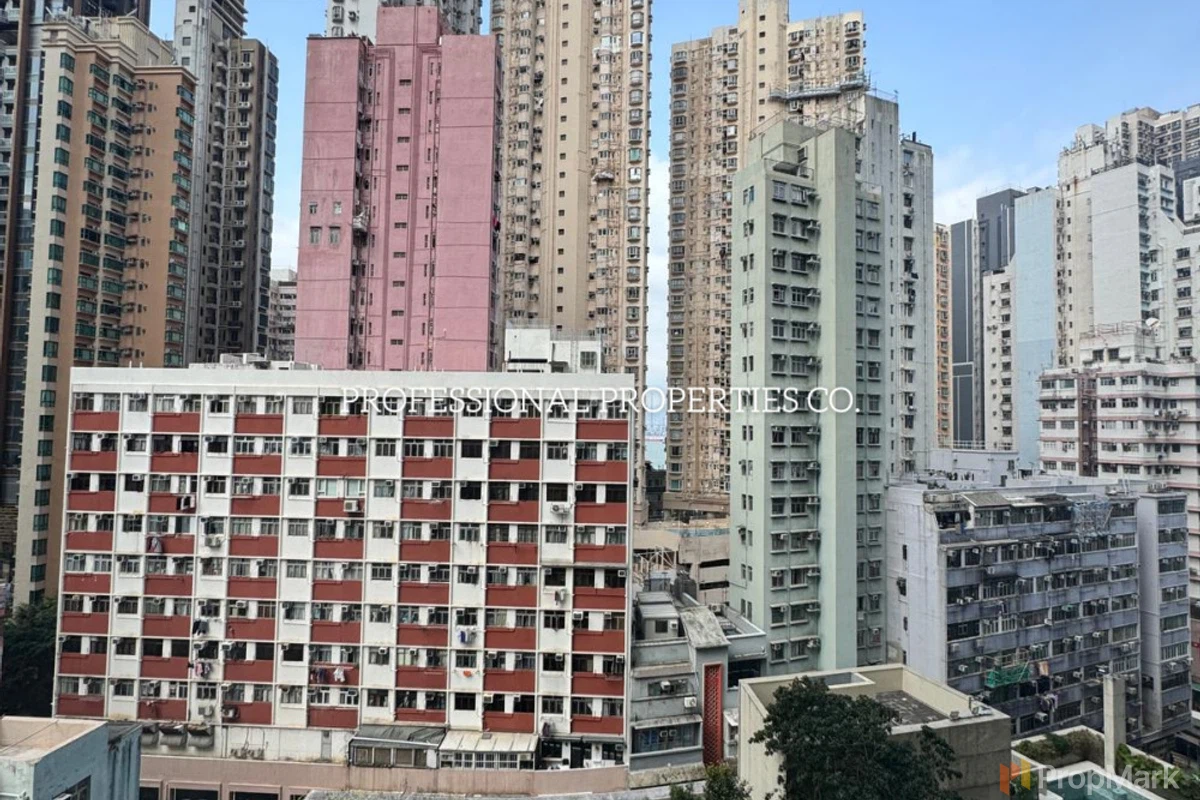 Lexington Hill - 相片 3