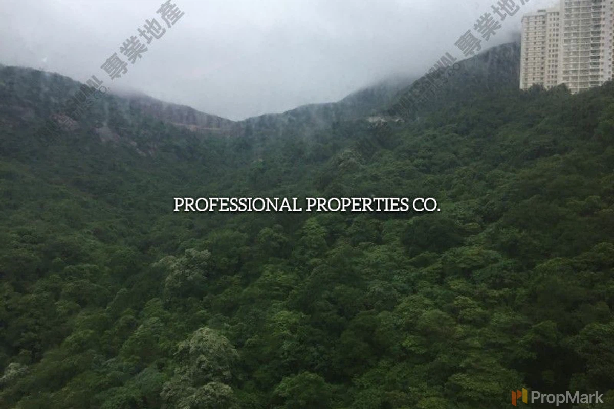 Ronsdale Garden - Photo 3