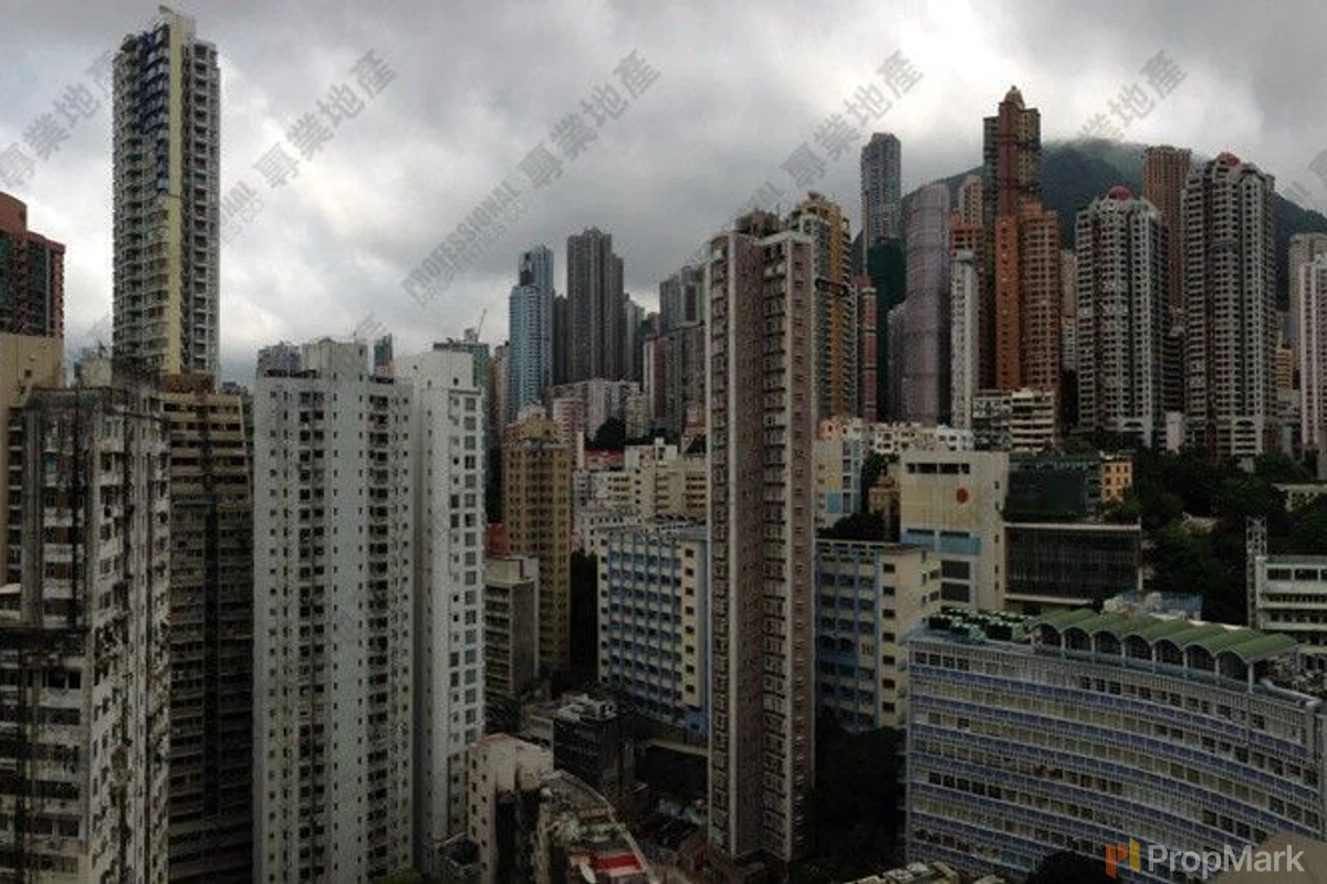 西浦 - 相片 1