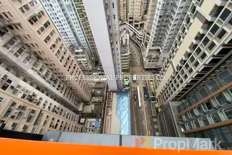 吉喆 - 相片 5